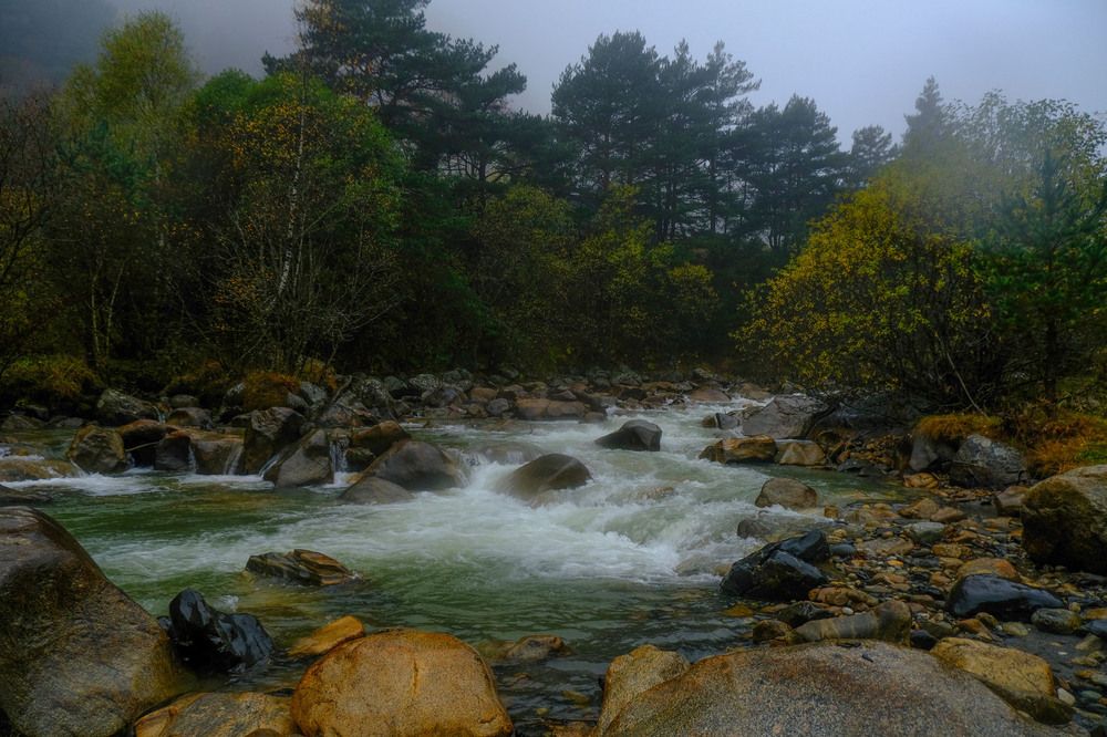 Фотография автора Александра Барнагян