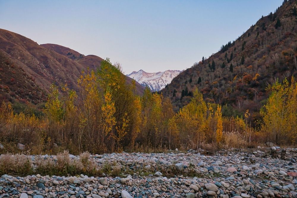 Photograph by Михаил Ноеренчук