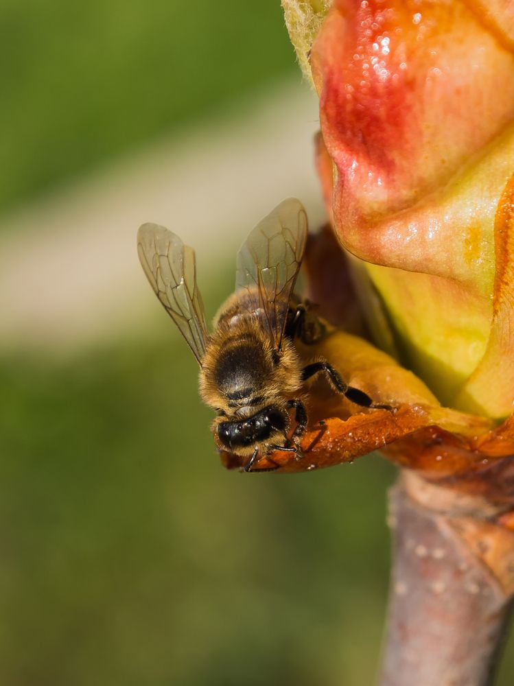 Photograph by Yury Fokin