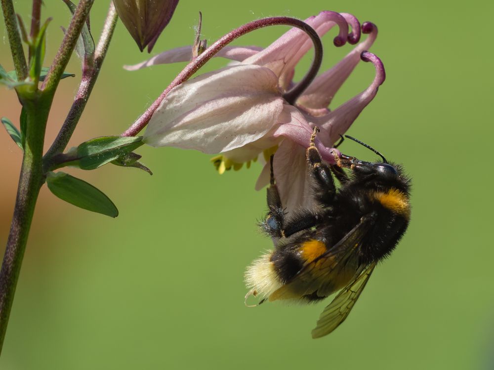 Photograph by Yury Fokin