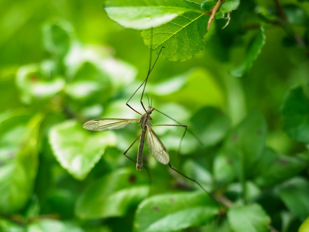 Photograph by Yury Fokin