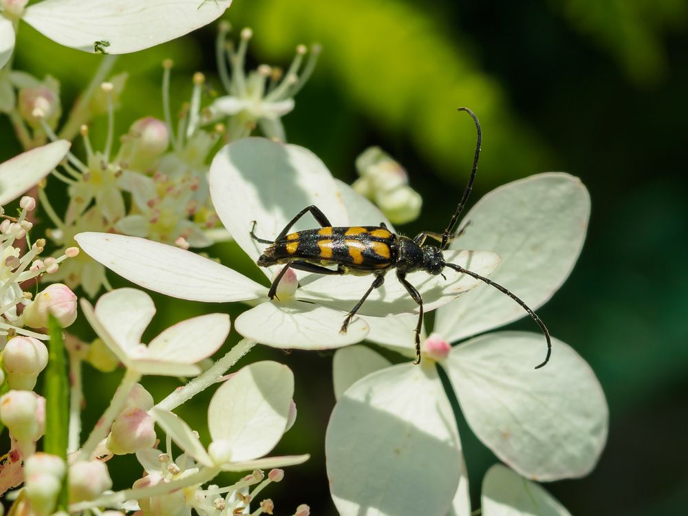 Photograph by Yury Fokin