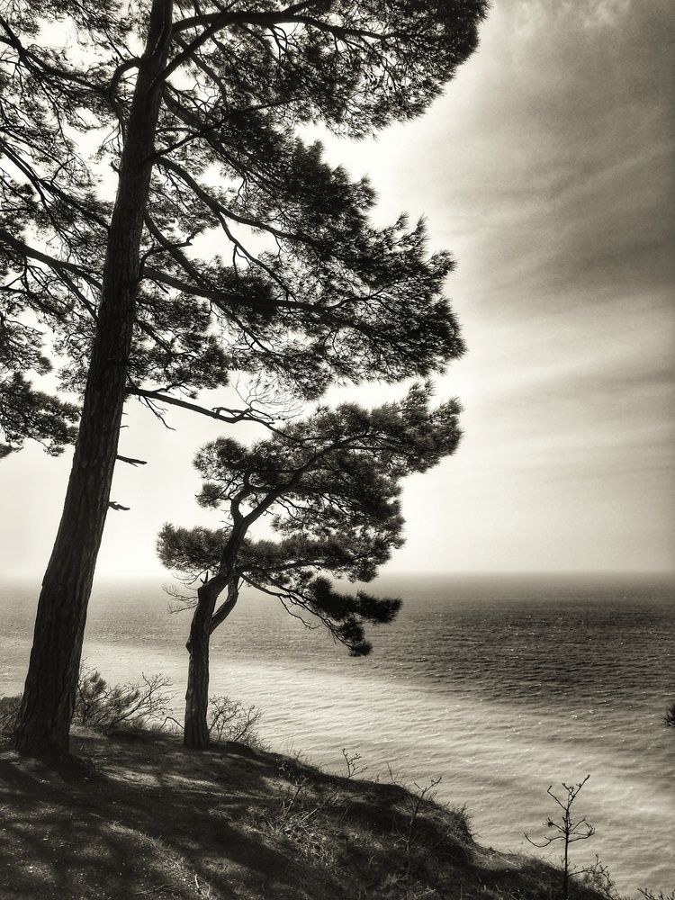 Photograph by Андрей Евтеев