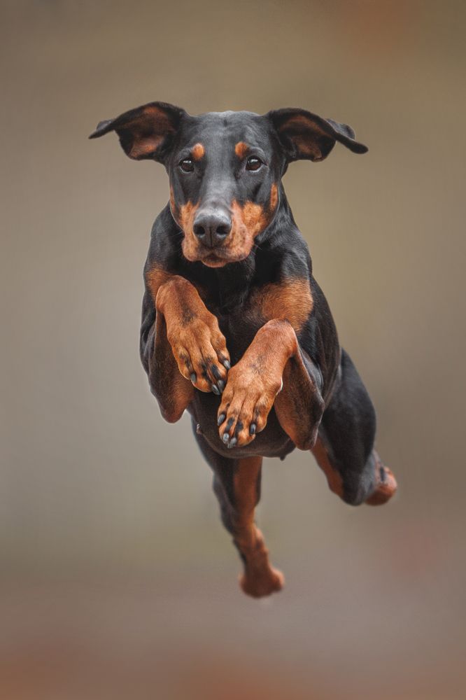 Photograph by Яна Нарбутович