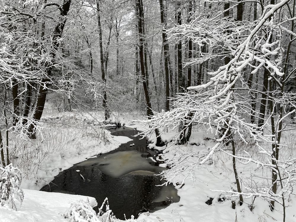 Photograph by Лавренева Алла