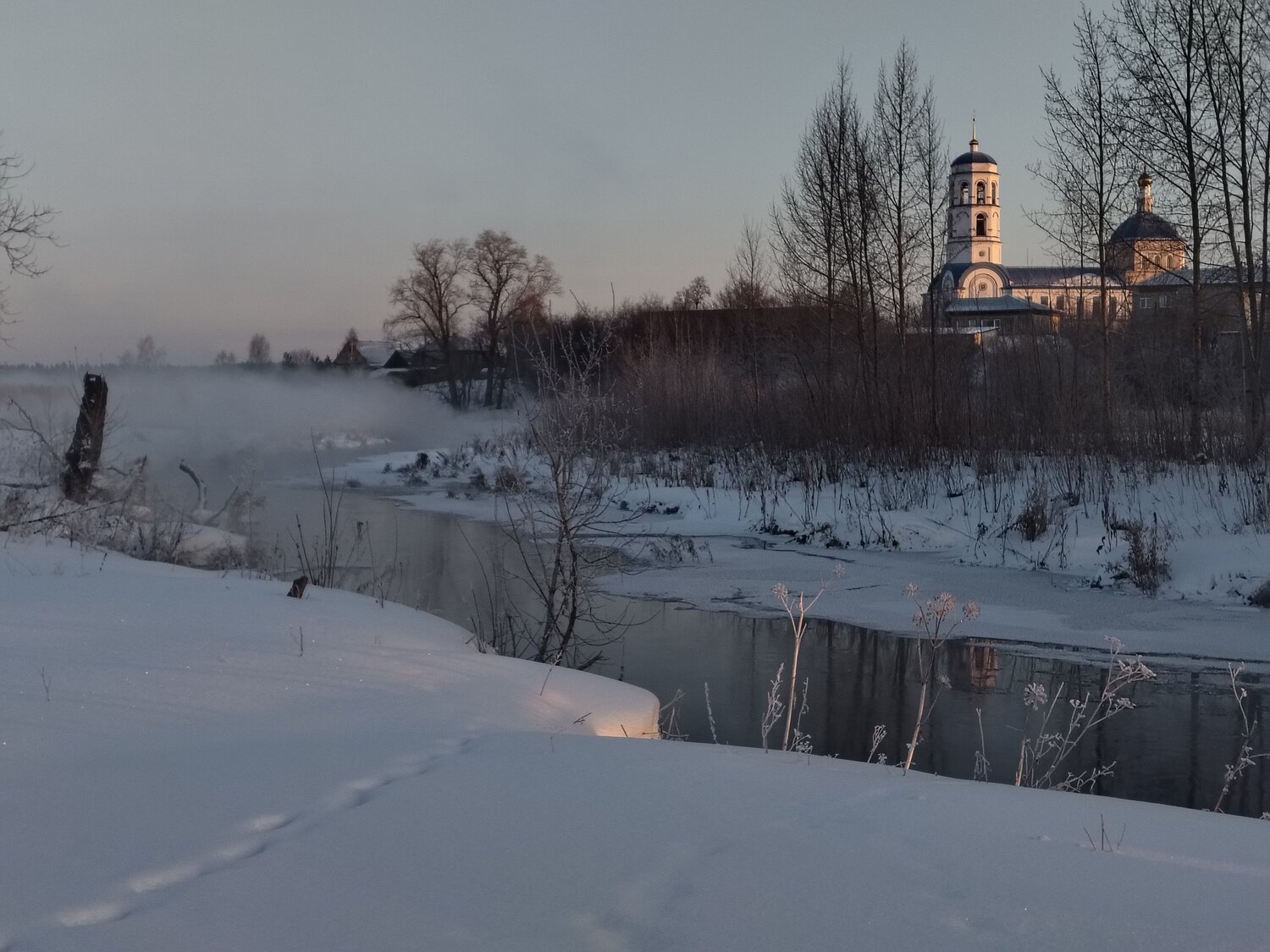 Photo #11916926