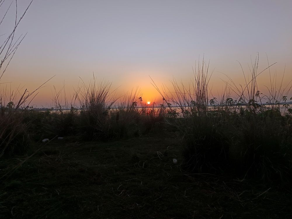 Photo #11916973