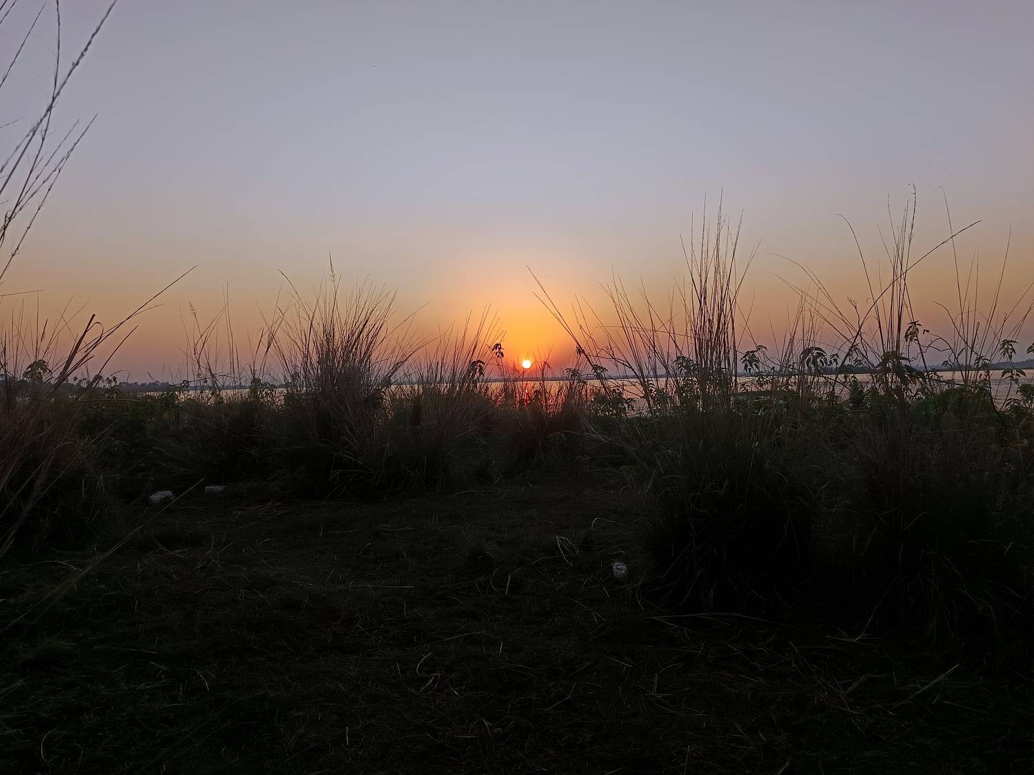 Photo #11916973