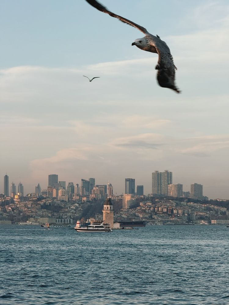 Photograph by Наталья Буракова