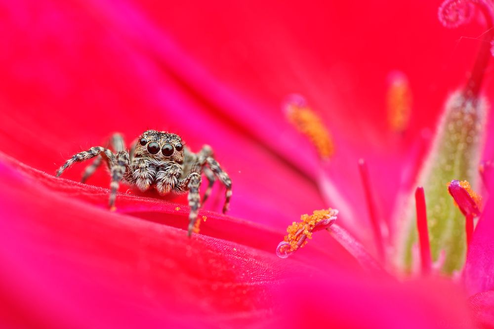 Фотография автора Jozef Mihalčin