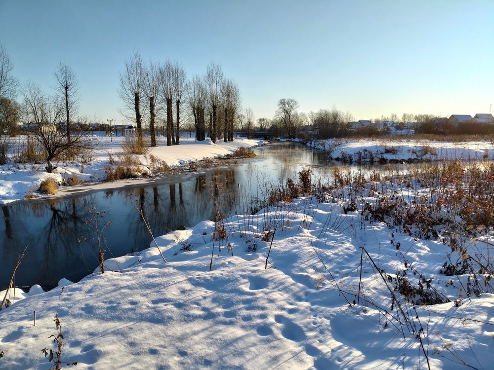 Photo #11917103