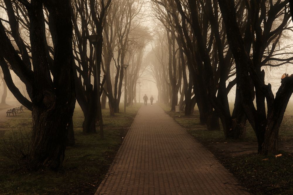 Photograph by Андрей Царев