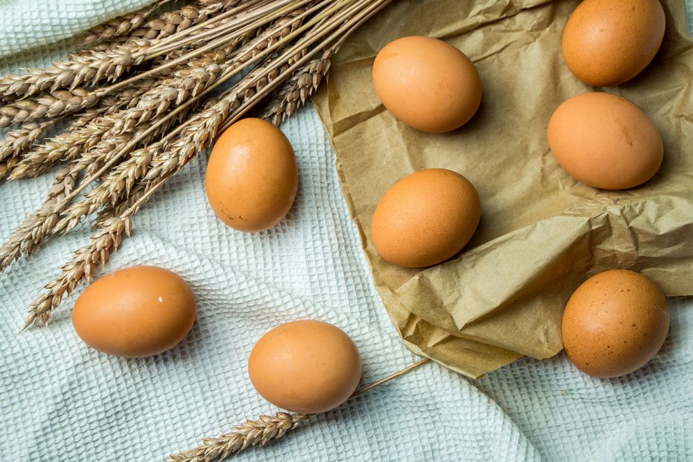 Фотография автора Василиса Новикова