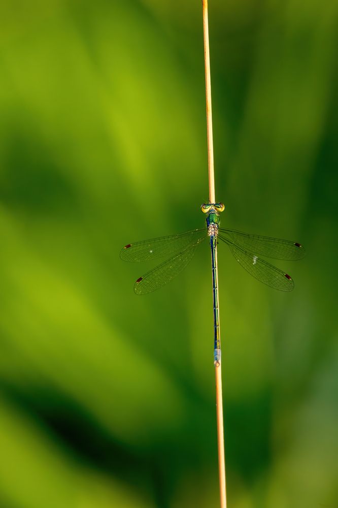 Photograph by Бурыкин Илья