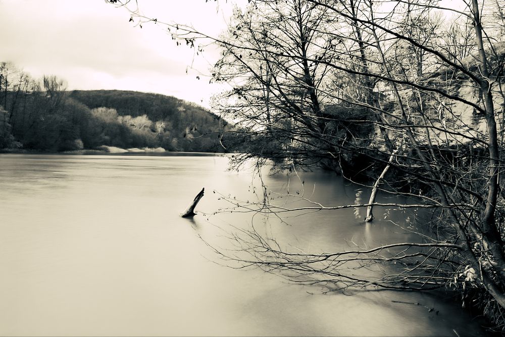 Photograph by Анна Берневик