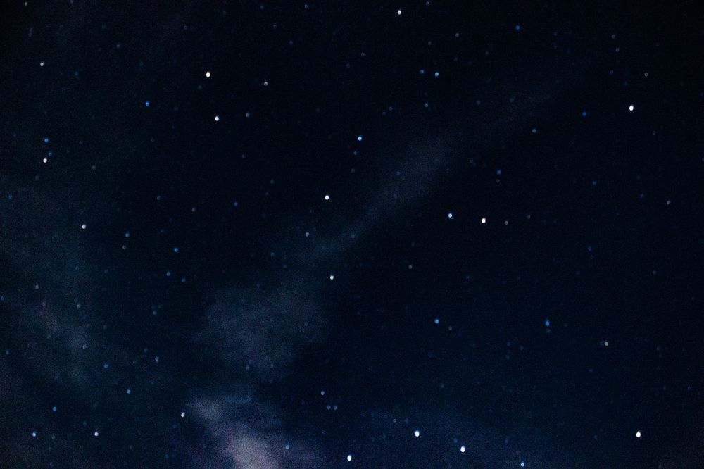 Фотография автора Василиса Новикова