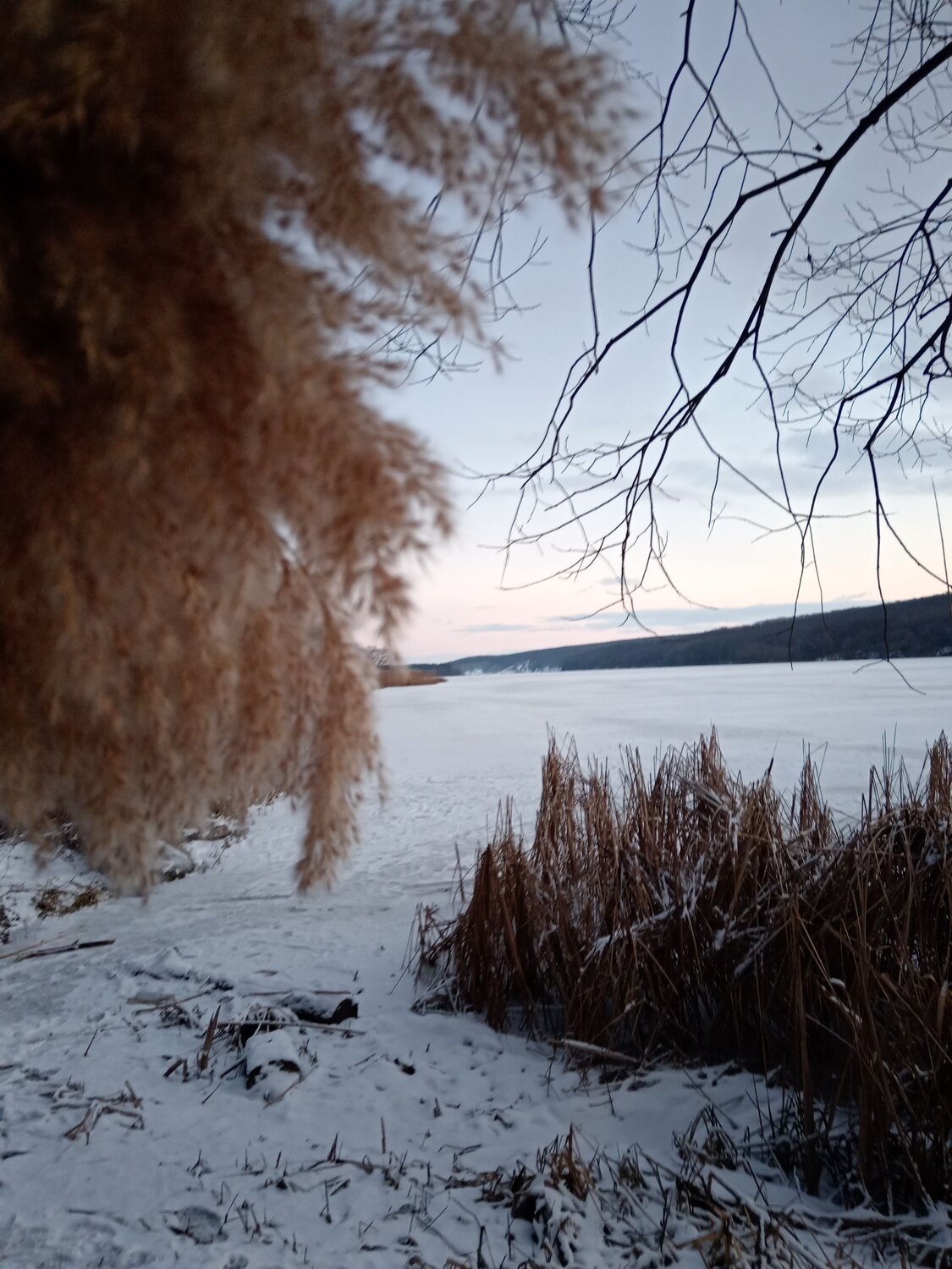 Photo #11917272