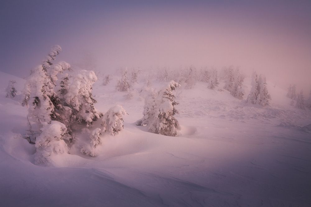 Photograph by Татьяна Бирюкова