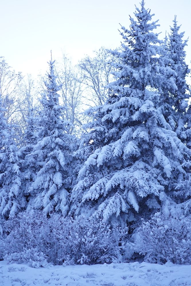 Photograph by Гордеева Светлана