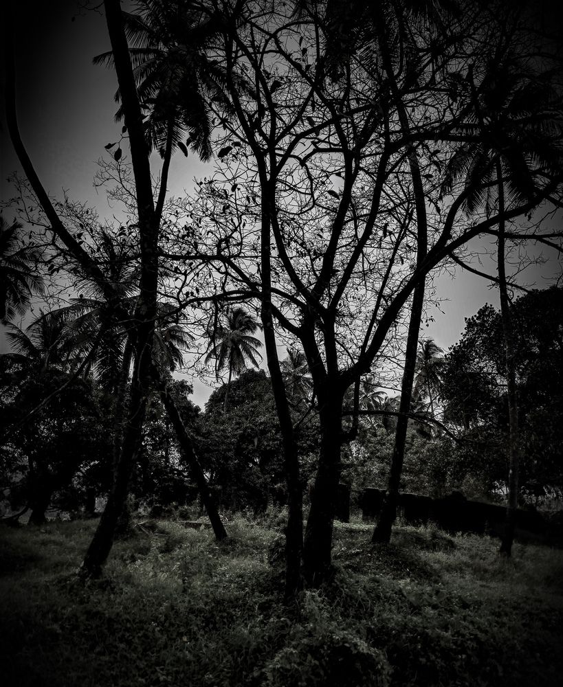 Photograph by SHRIYAKSHI