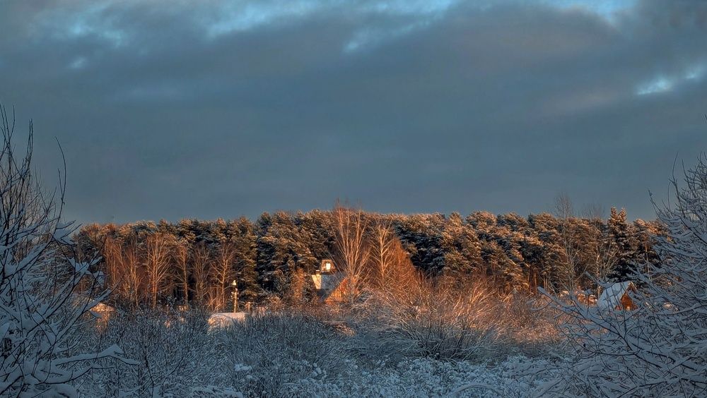 Photograph by Алексей Худяков