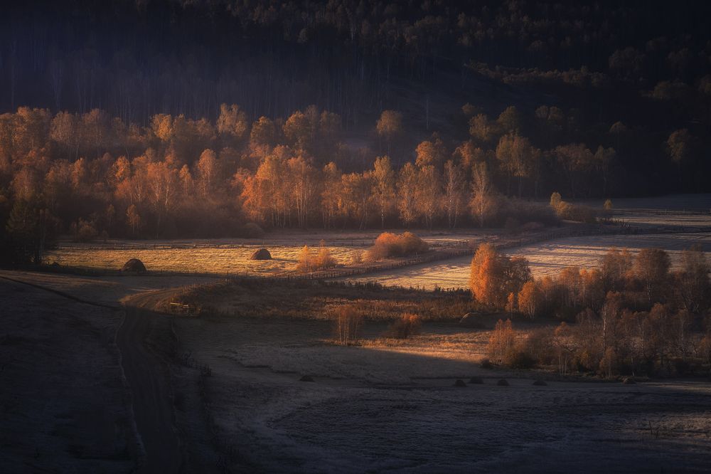 Photograph by Татьяна Бирюкова