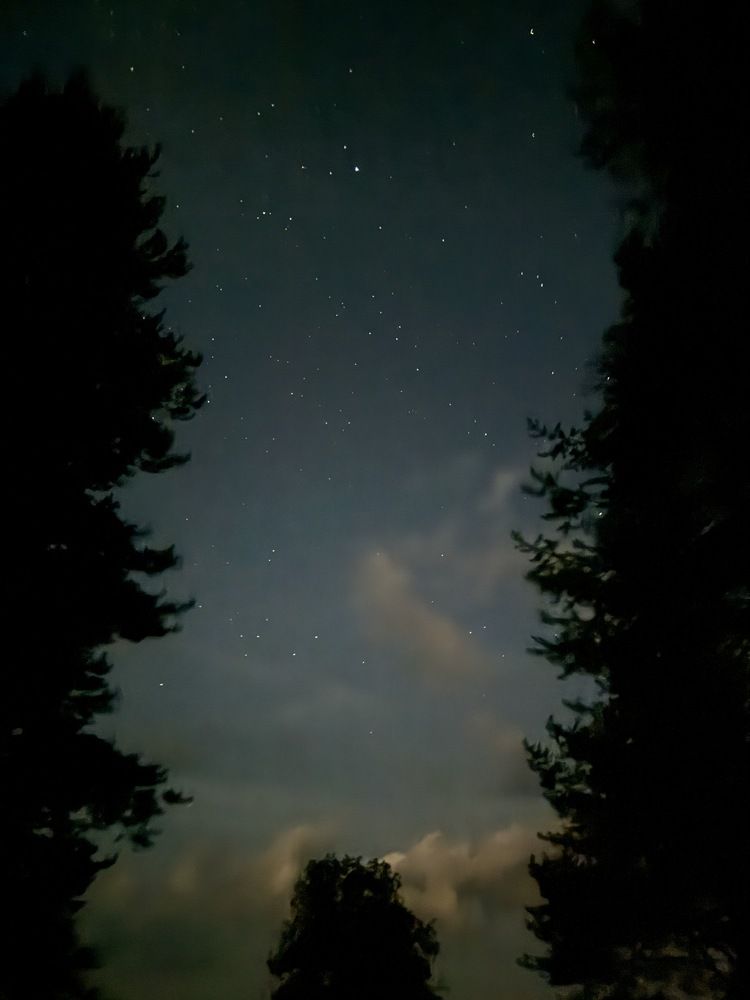 Photograph by Dmitry Bastet