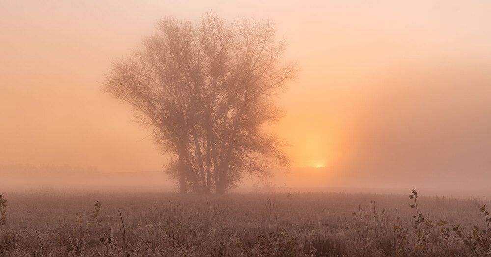 Тобольские туманы