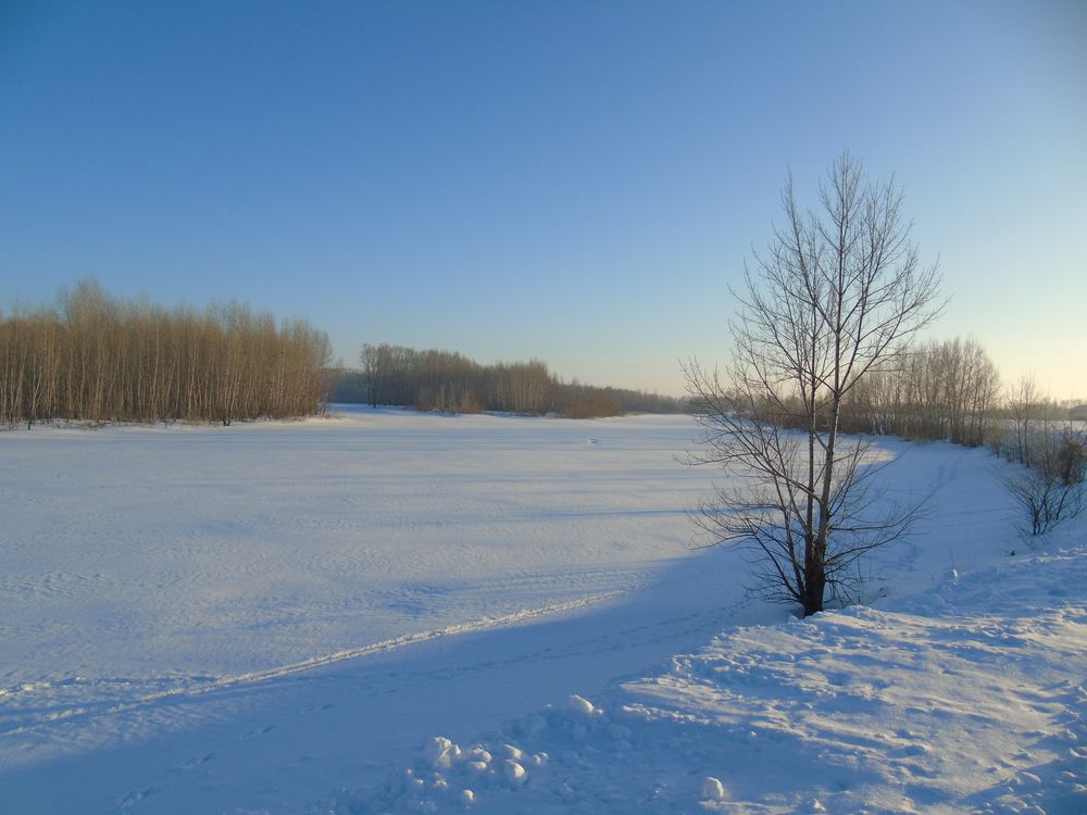 Photograph by Хайбуллина Флора