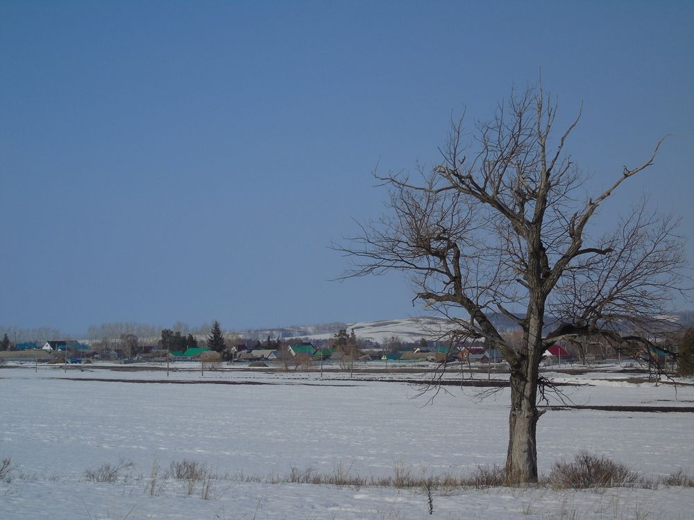 Photograph by Хайбуллина Флора