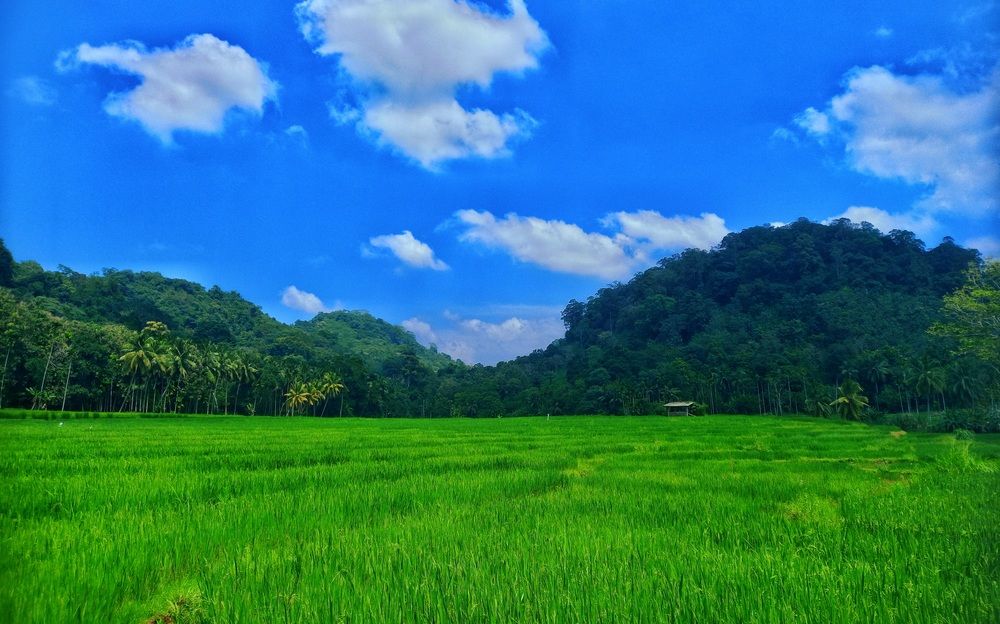 Фотография автора Tharuni Shyamika Lakmali Wella Waduge