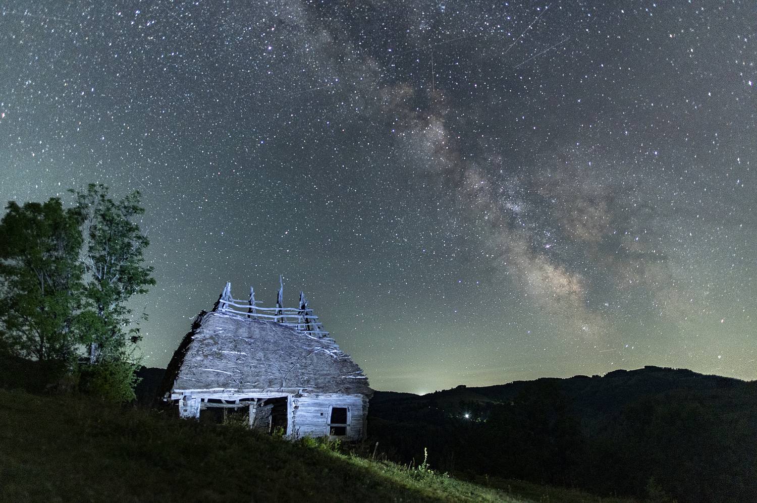 Фотография #11917465