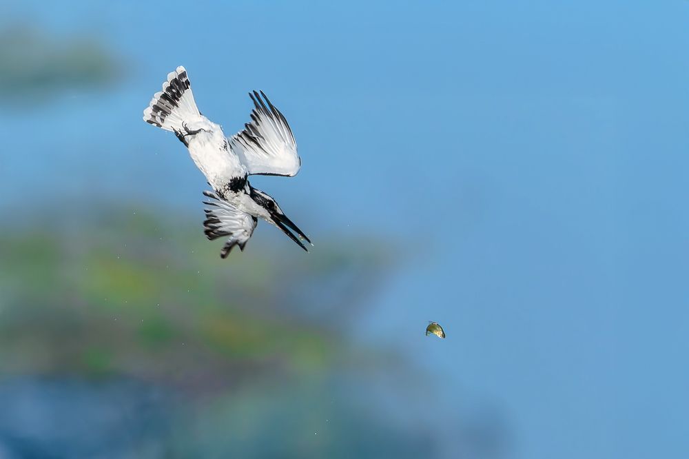 Photograph by Samir Sachdeva