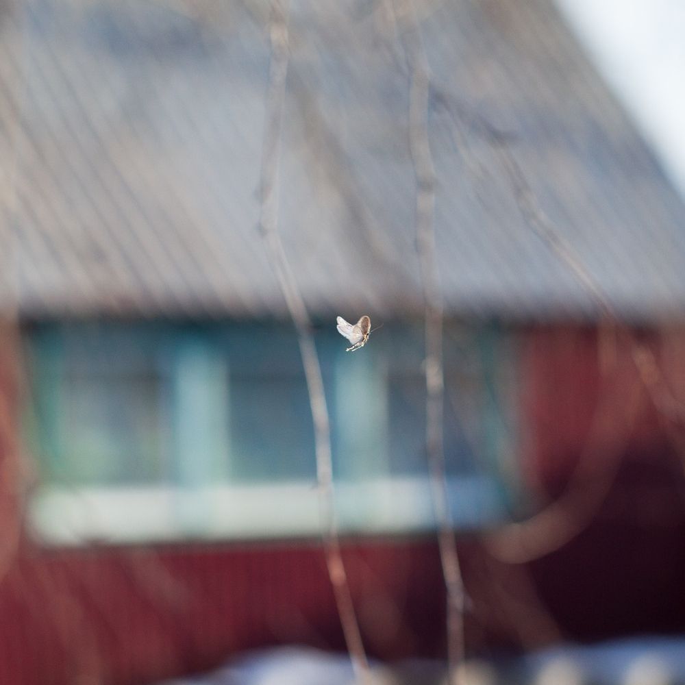 Photograph by Григорий Шишонков