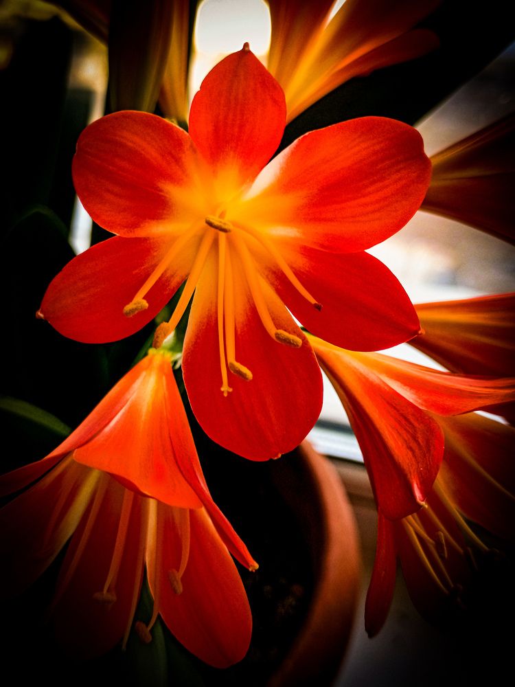 Photograph by Владимир Сушкин