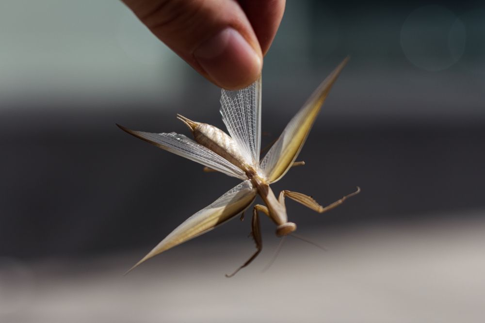 Photograph by Роман Саламатин