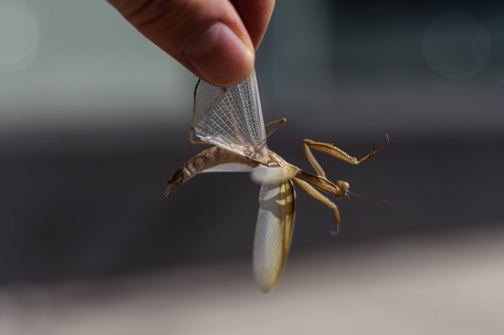 Photograph by Роман Саламатин