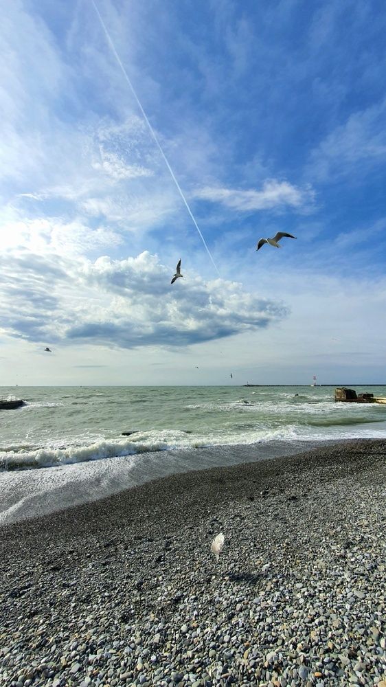 Photograph by Елена Николайчик