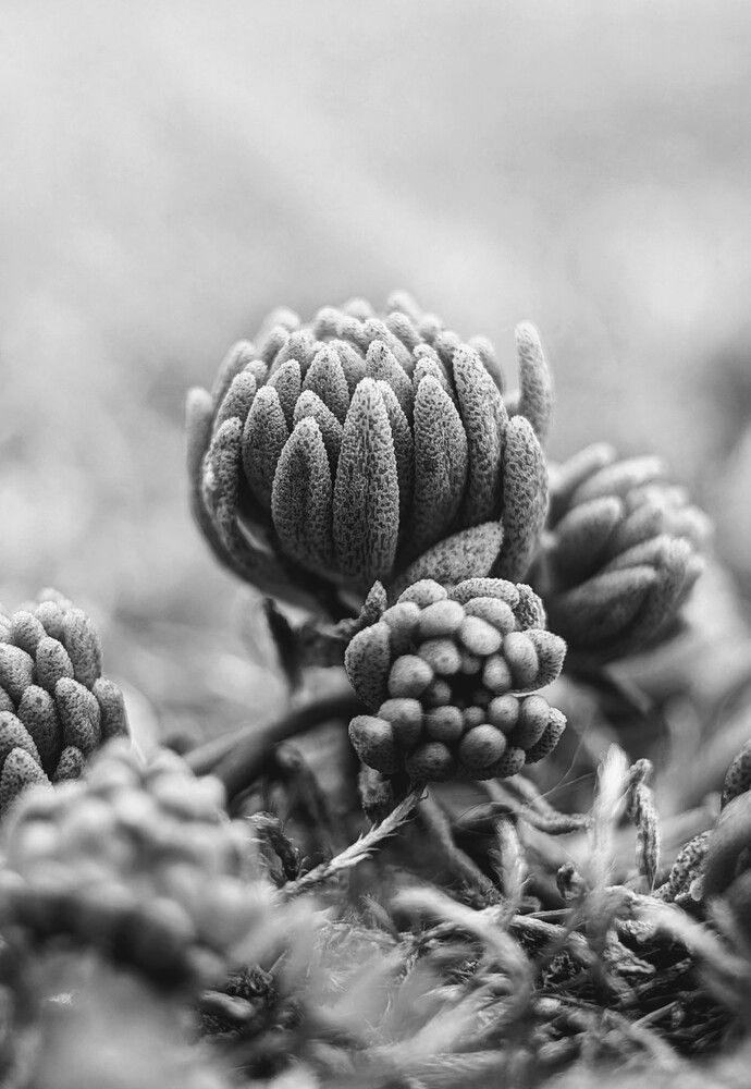 Photograph by Екатерина Колот