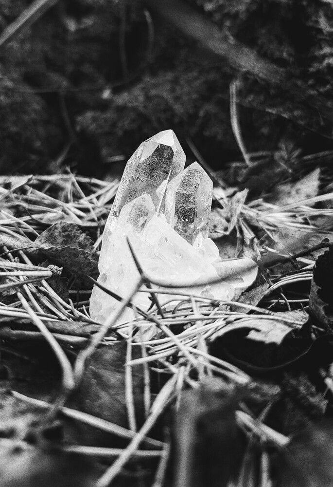 Photograph by Екатерина Колот