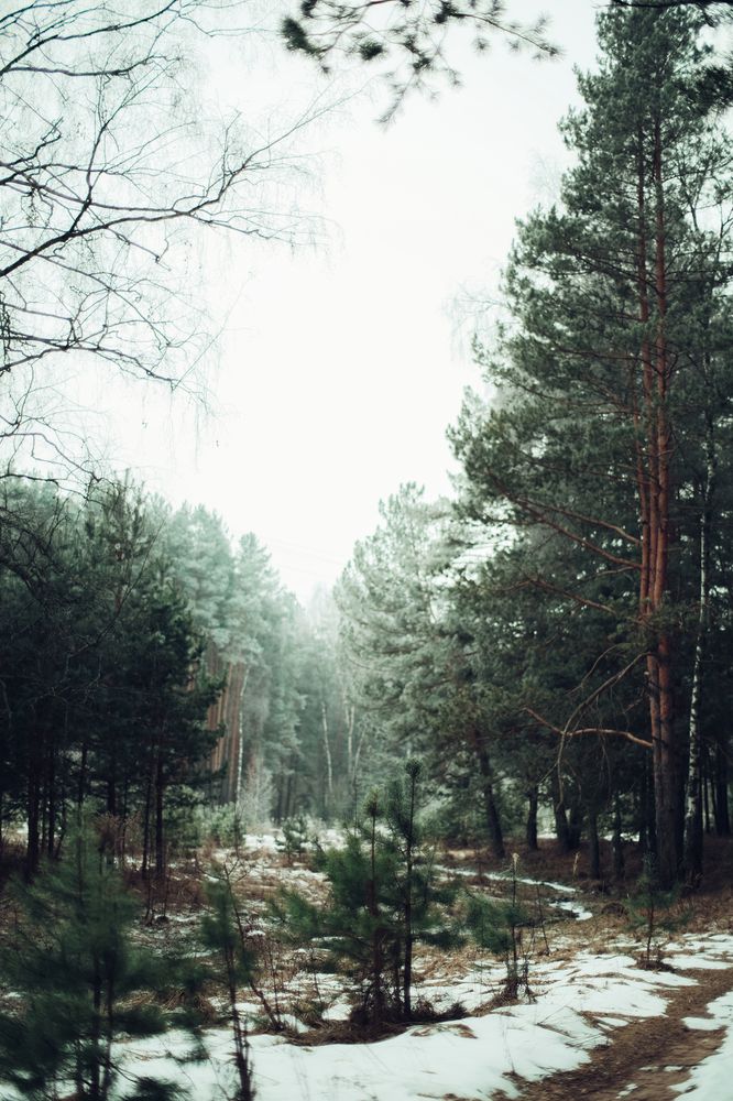 Photograph by Elya Krop