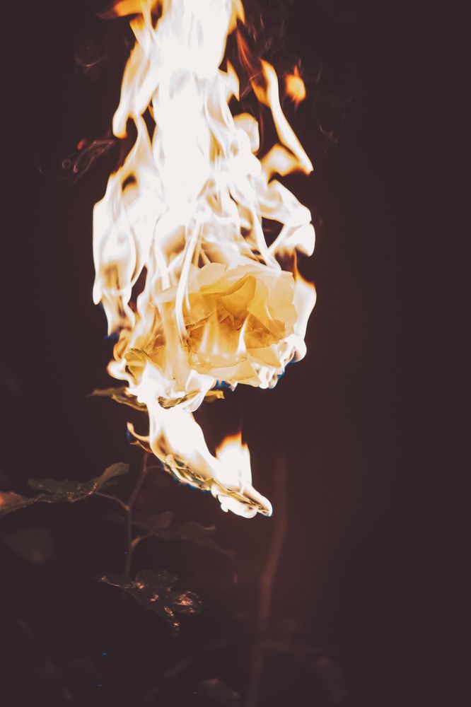 Photograph by Екатерина Колот