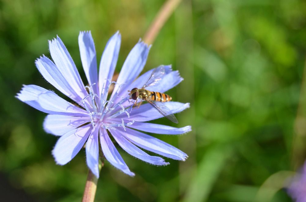 Фотография автора Антонина Клементьева