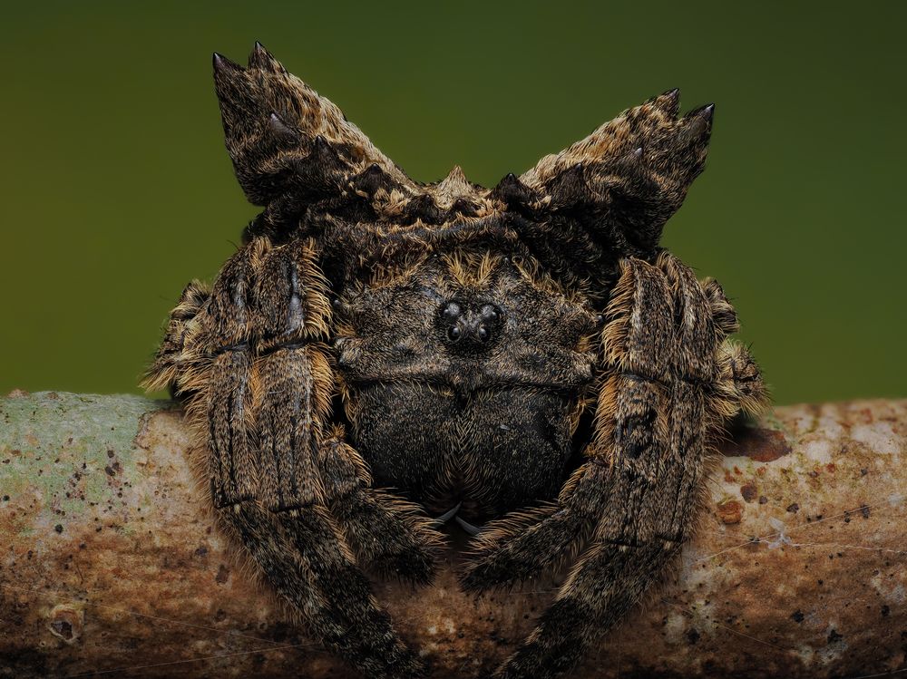 Photograph by Phuong Nguyen