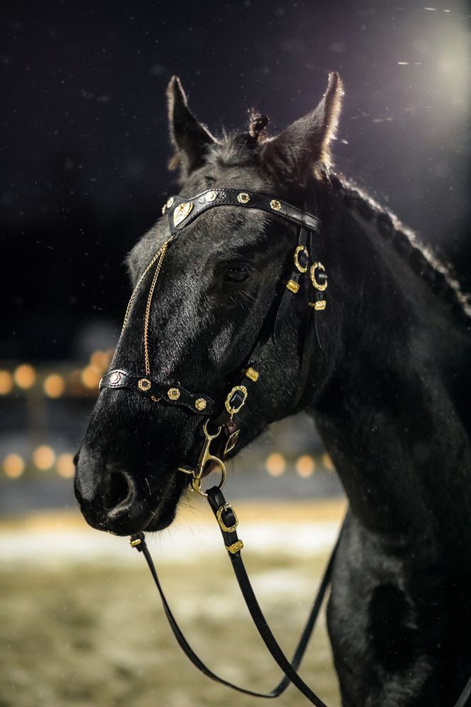 Photograph by Екатерина Степанцева