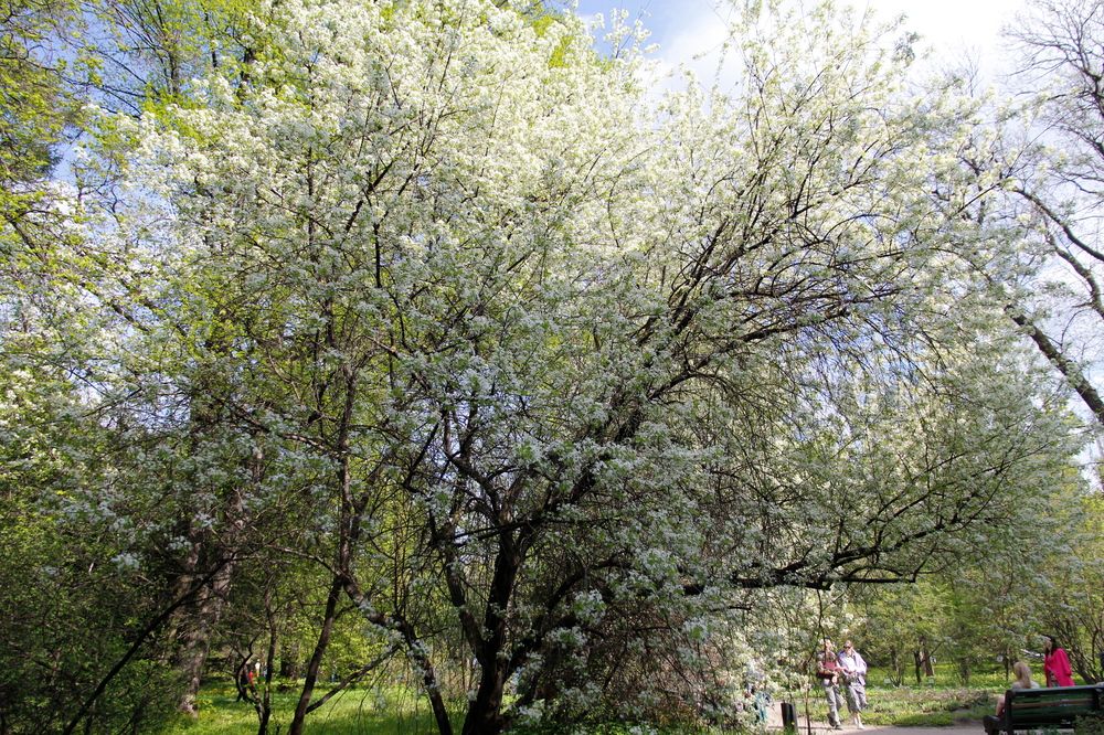 Фотография автора Natalia Kuzmina