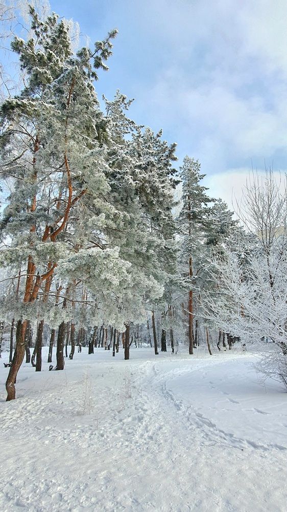 Photograph by Николайчик Елена