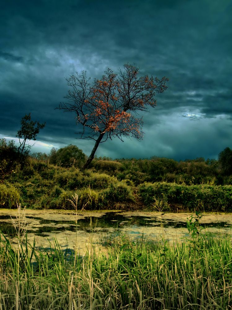 Больная осень