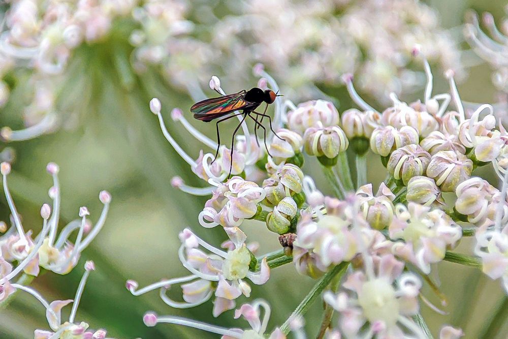 Фотография автора Александр Довганюк