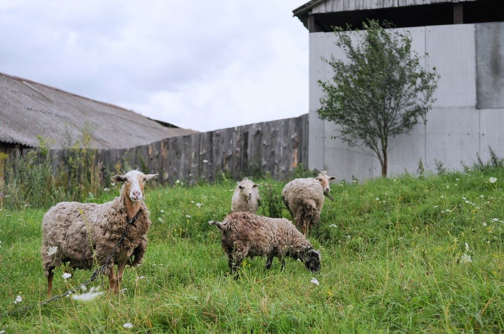 Photograph by Виктория Горельченко